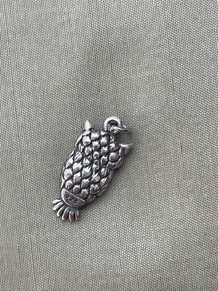 Owl Charm