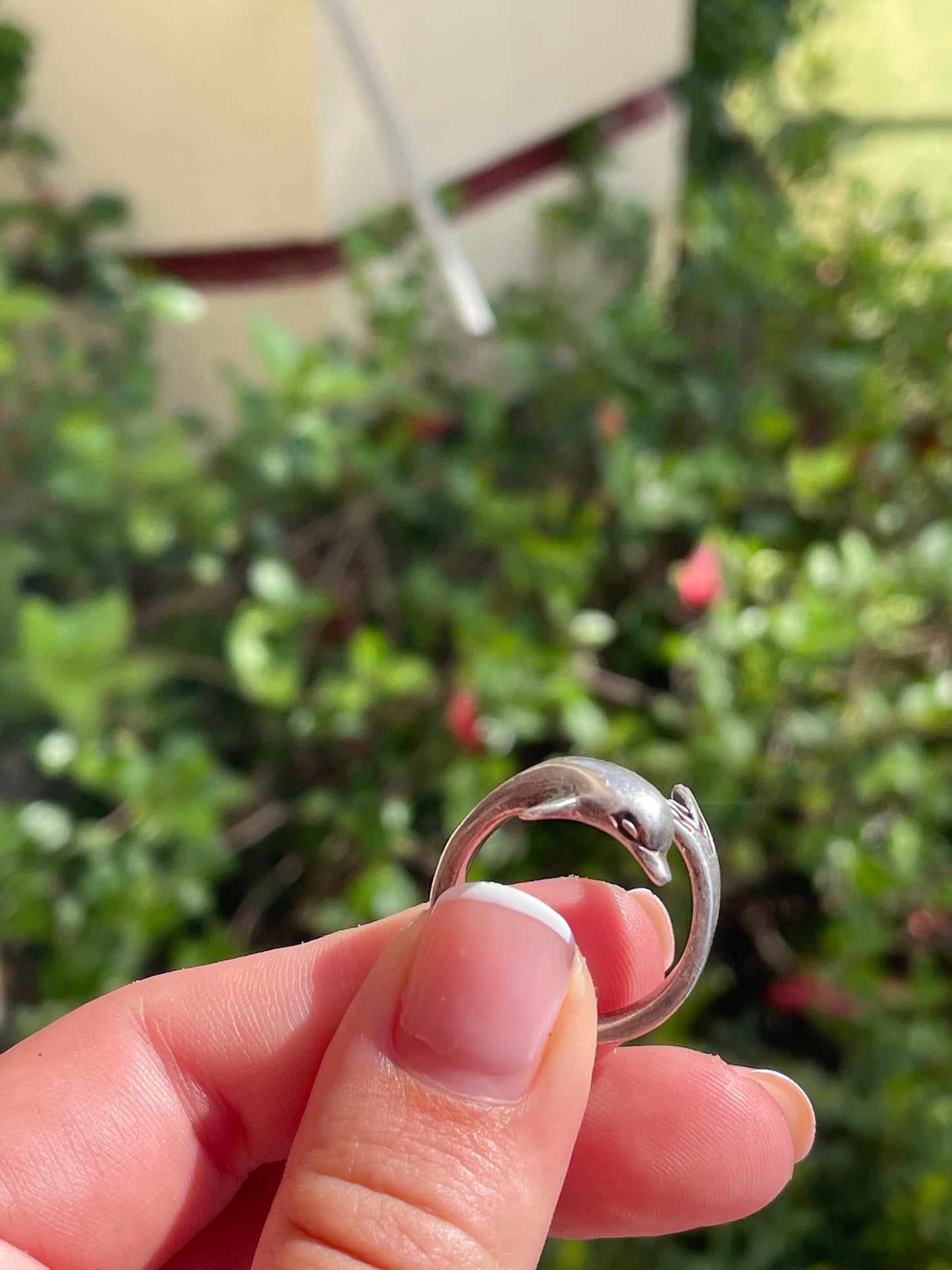 Dolphin Wrap Around Ring