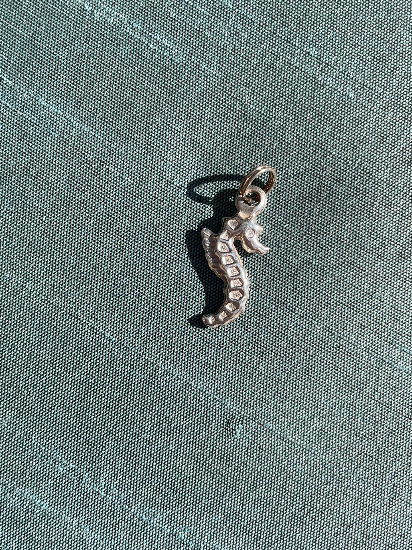 Seahorse Charm