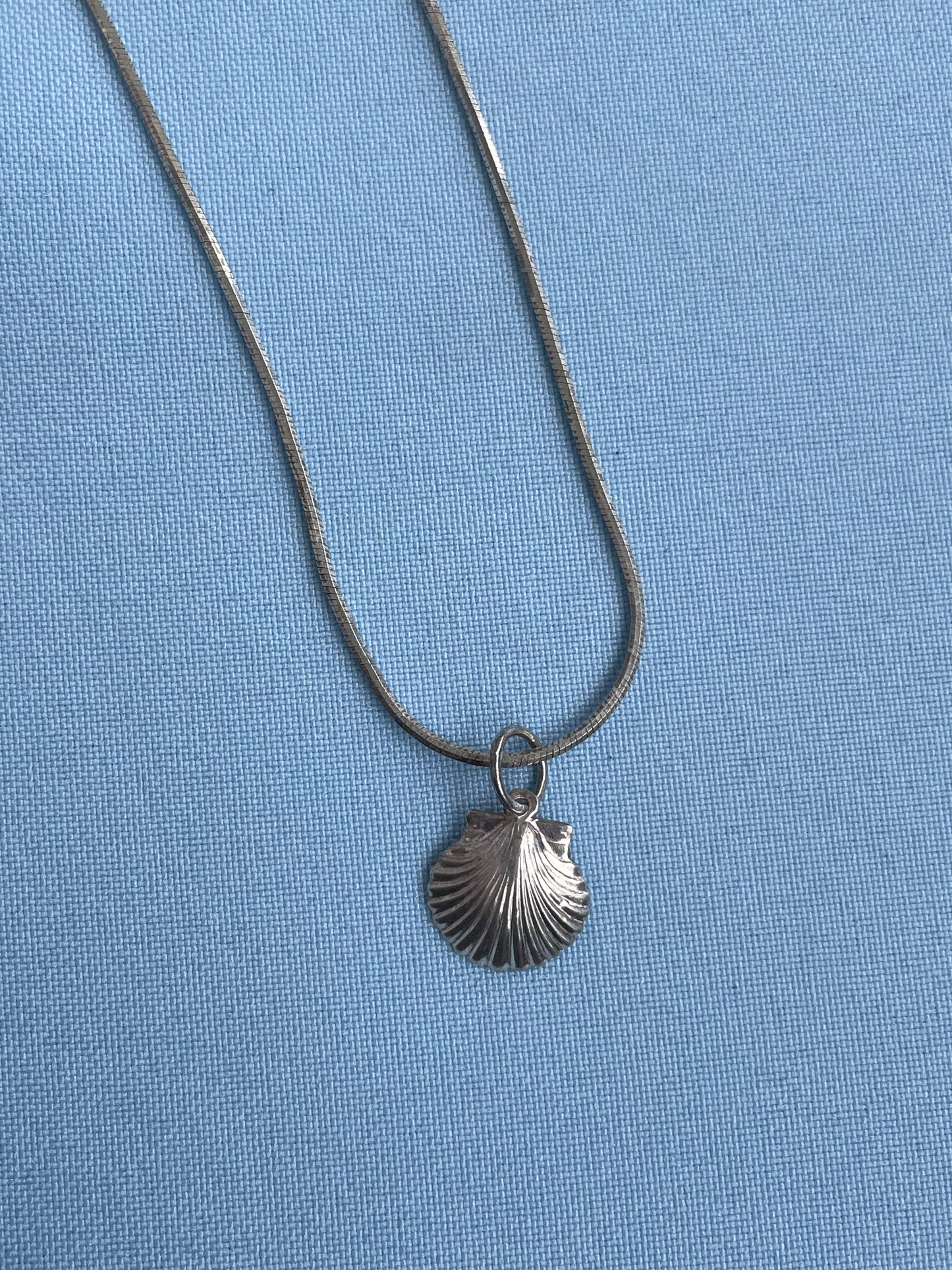 Secret Scallop Shell Necklace