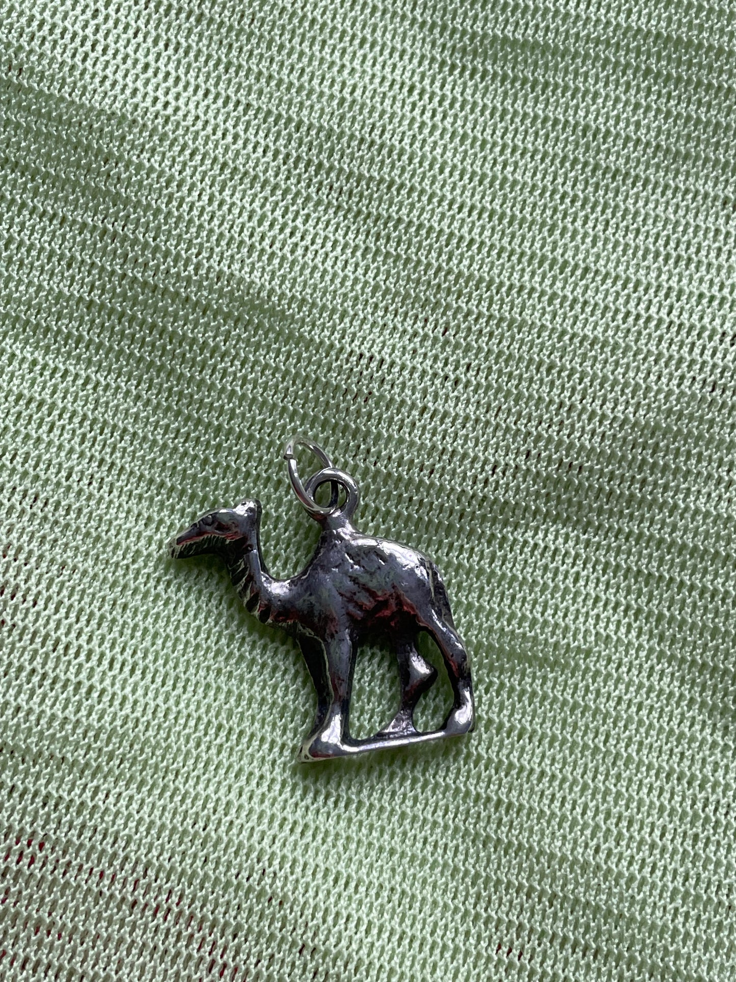 Camel Charm